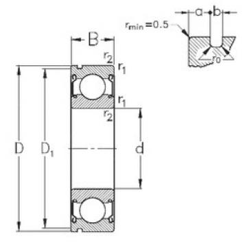 Bantalan 6009-2Z-N NKE