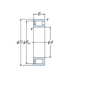 Bearing NCF3036V