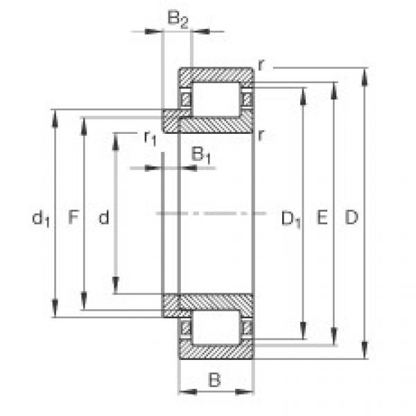 Подшипник NJ2228-E-M1 + HJ2228-E FAG #1 image