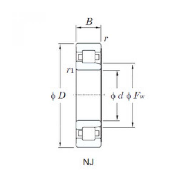 Подшипник NJ205R KOYO #1 image