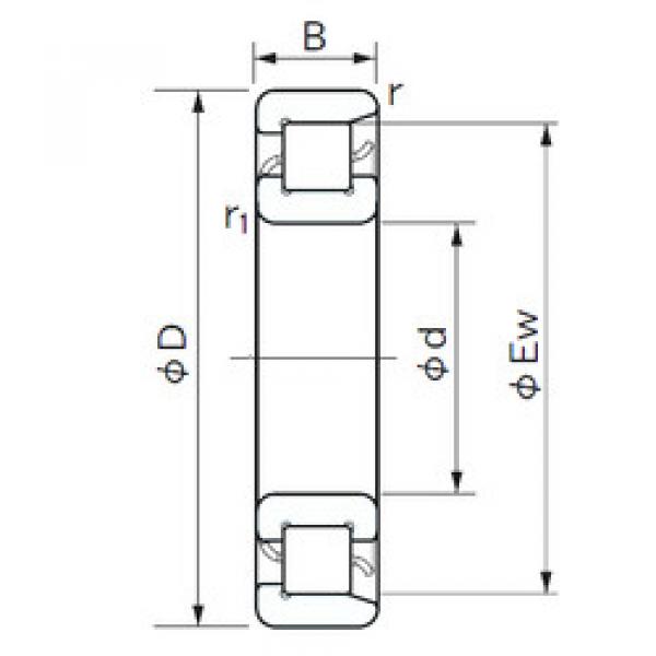 Подшипник NF 203 NACHI #1 image