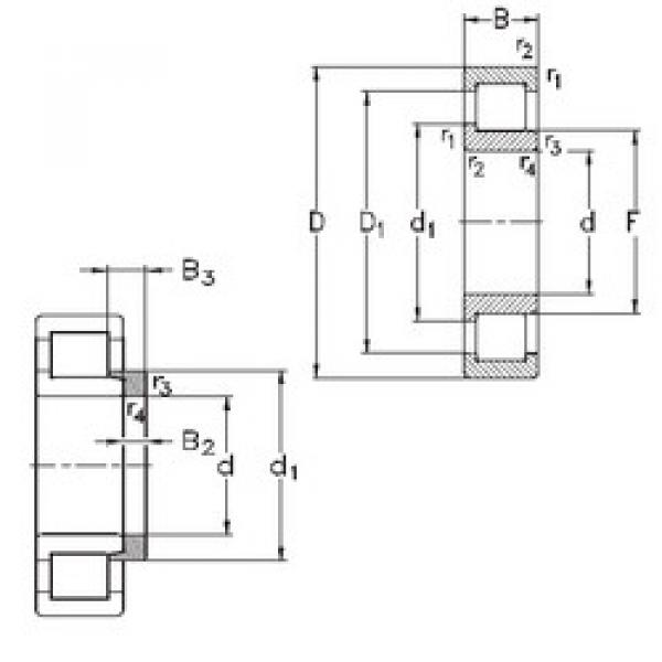 Подшипник NJ206-E-MPA+HJ206-E NKE #1 image