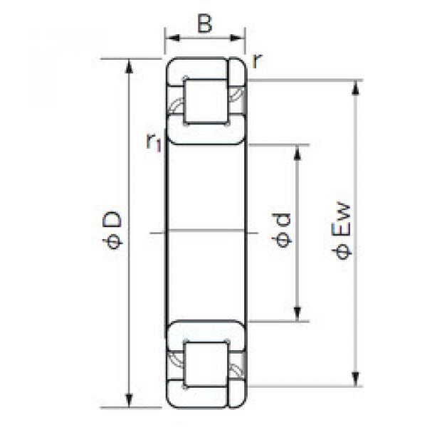 Подшипник NP 240 NACHI #1 image