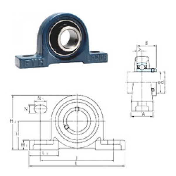 Подшипник BLP203 FYH #1 image