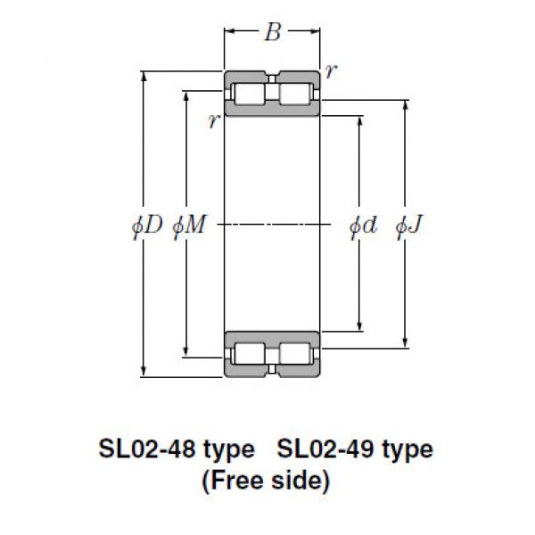 Bearing SL01-4960 #1 image