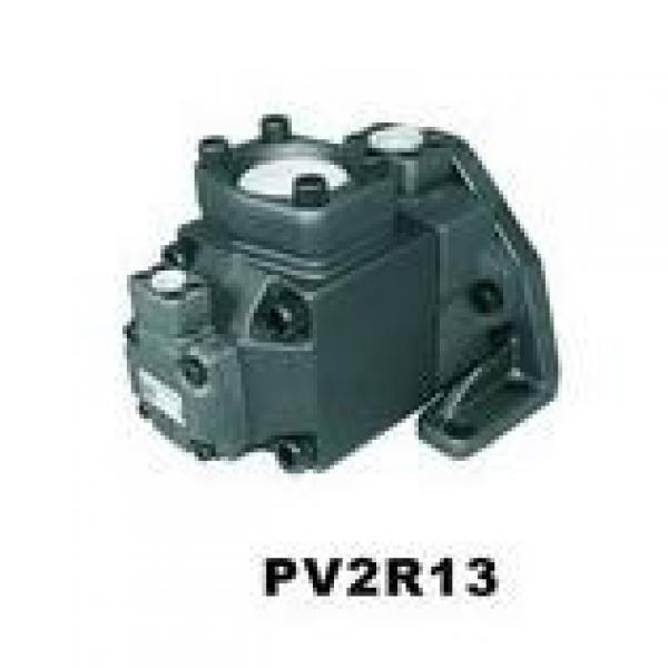  Parker Piston Pump 400481003148 PV270R1K1T1NUPE+PVAPVE51 #1 image